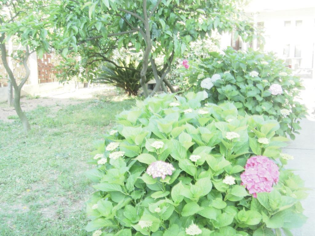 Apartments Budva Center 2 Εξωτερικό φωτογραφία